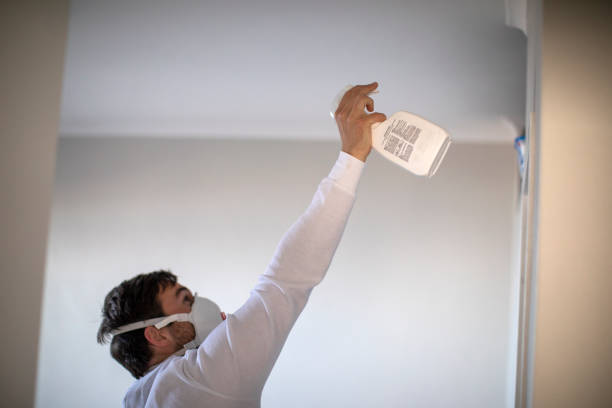 Best Toxic Mold Removal  in Las Maravillas, NM
