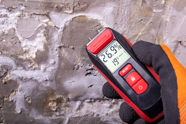 Best Mold Testing  in Las Maravillas, NM